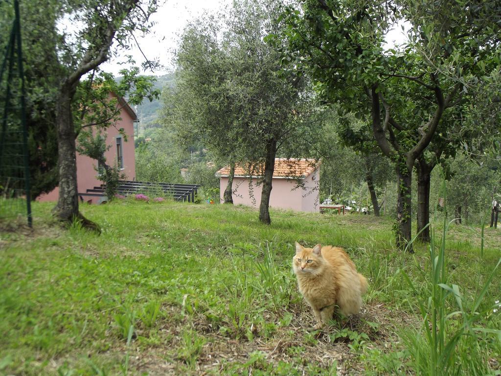 Agriturismo Brasino Fosdinovo Quarto foto